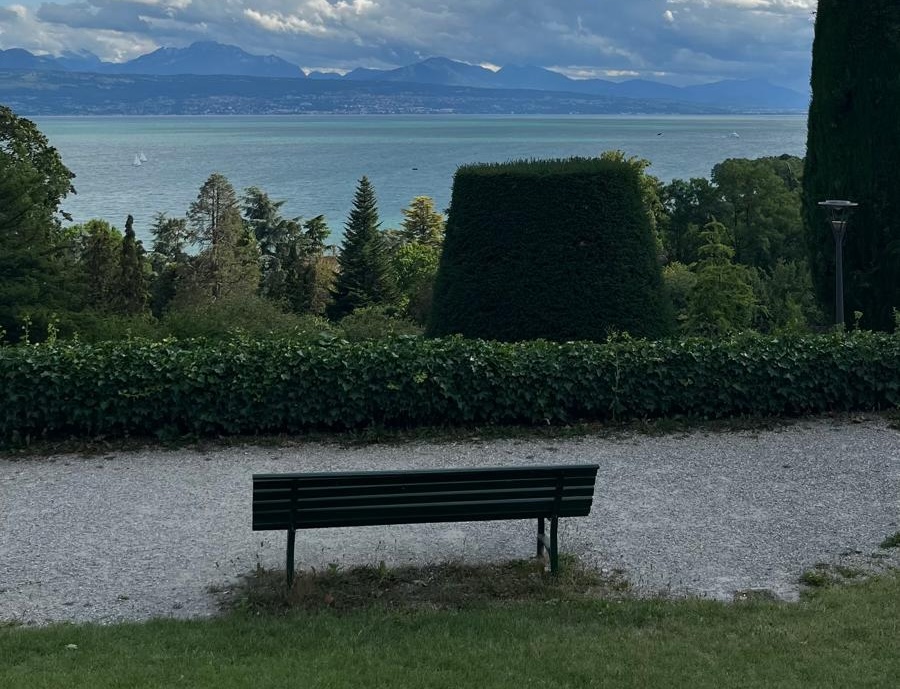 Stage d'initiation au Taiji