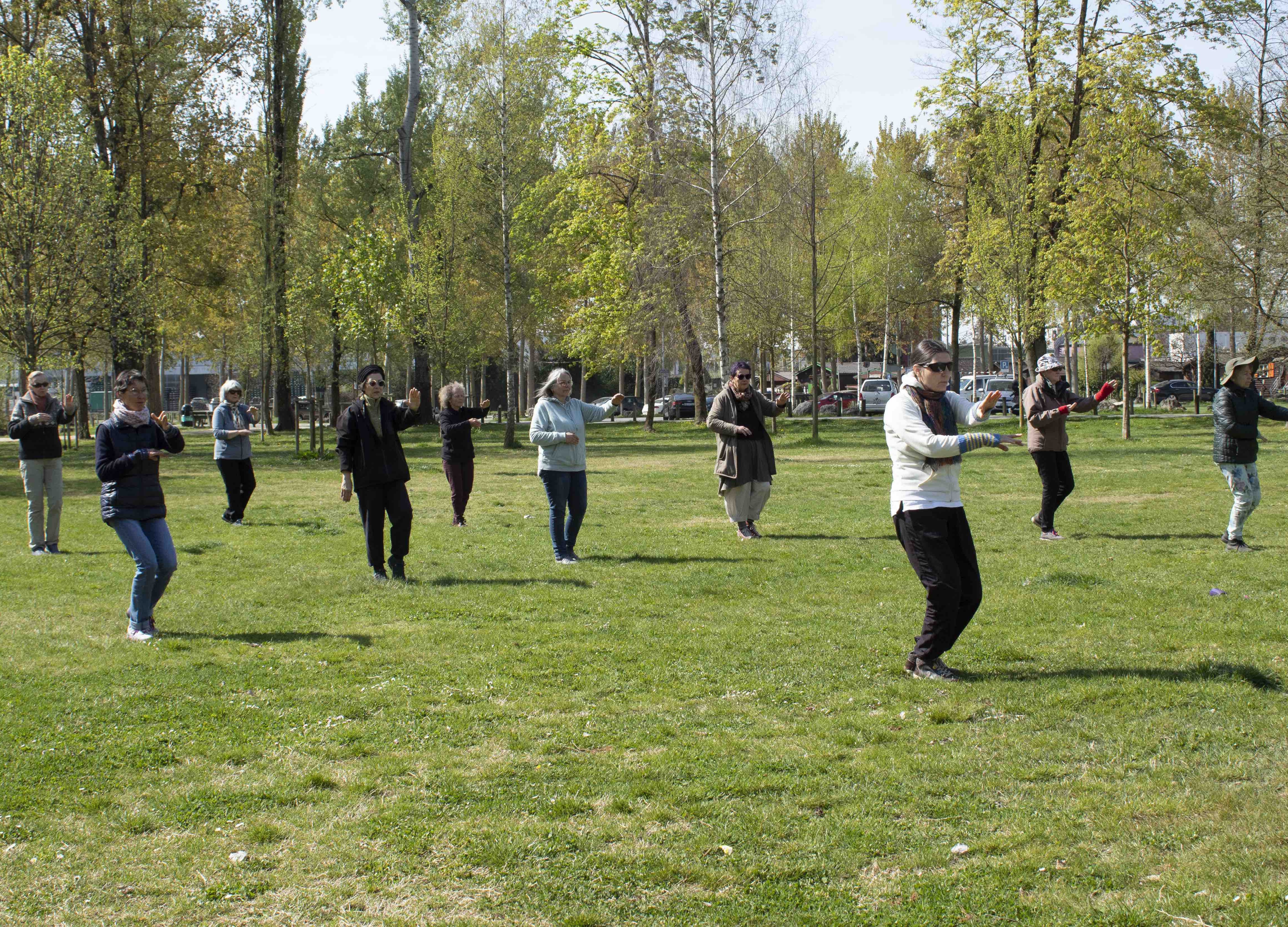 Cours de Tai-Chi En Extérieur