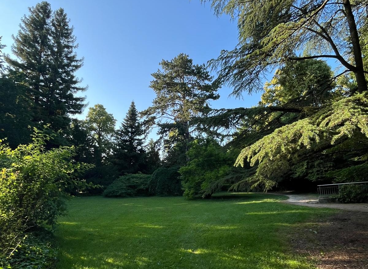 Stage d'initiation au Taiji